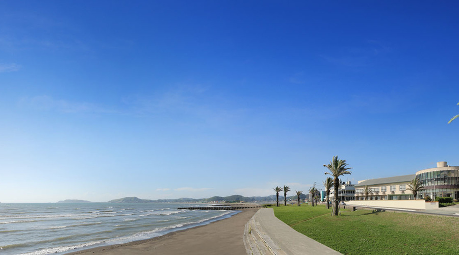 h000003765_panorama.jpg